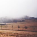 Czym kierować się, wybierając kurs zdobienia paznokci