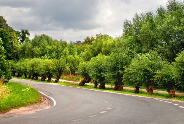 Praca za kierownicą ciężarówki